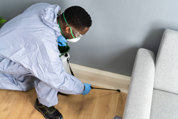 Best Pest Exclusion Services  in Senath, MO